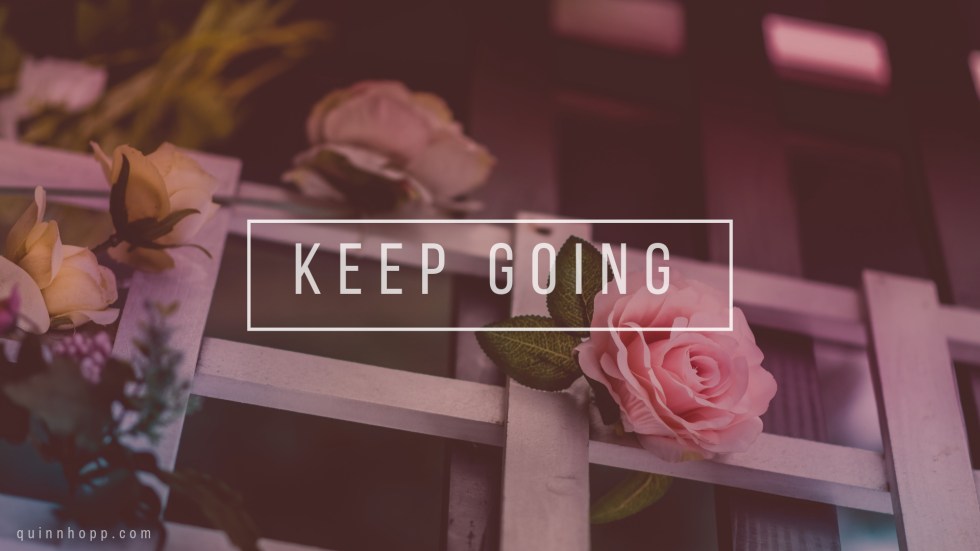 rosy flower fence_keep going